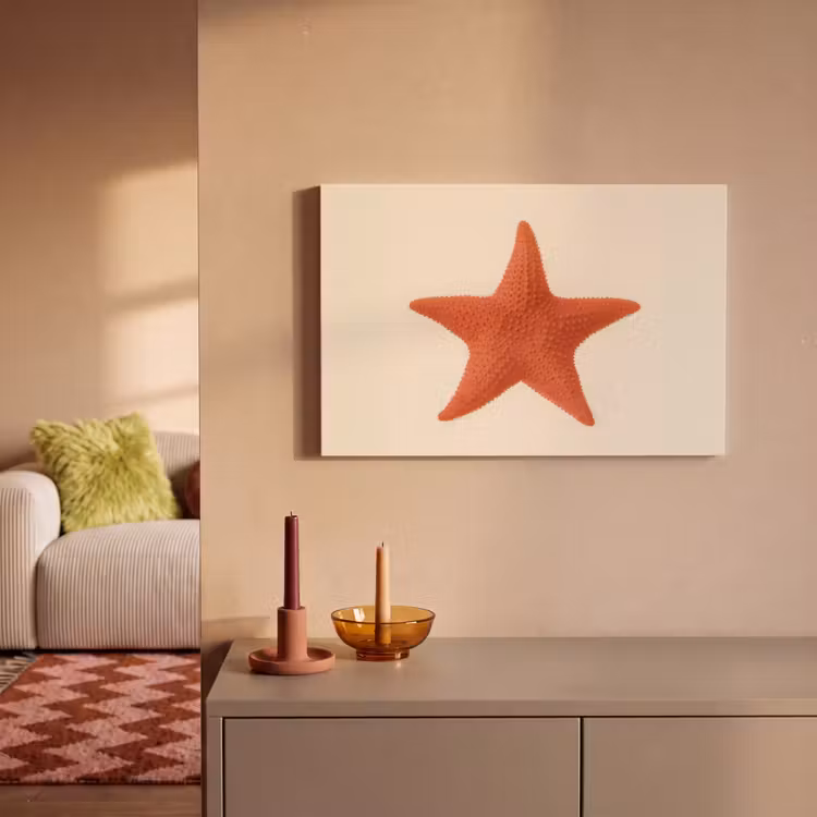 Canvas schilderij - Zeester - Bobbels - Rood — 2