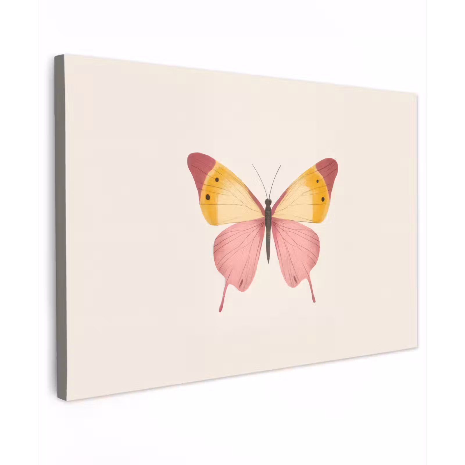 Canvas schilderij - Vlinder - Illustratie - Roze — 1