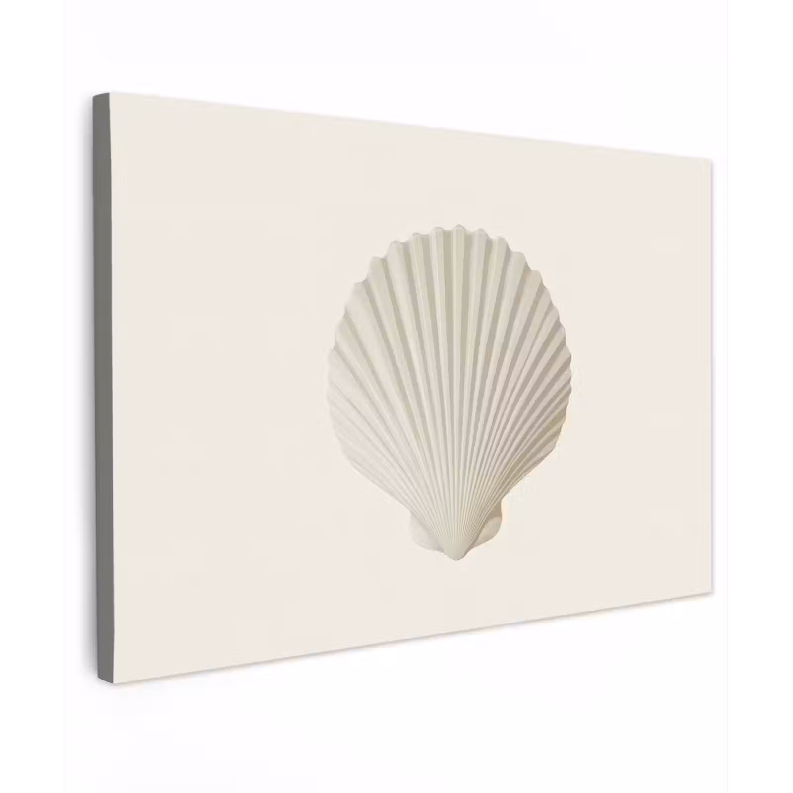 Canvas schilderij - Schelp - Minimalistisch - Wit — 1