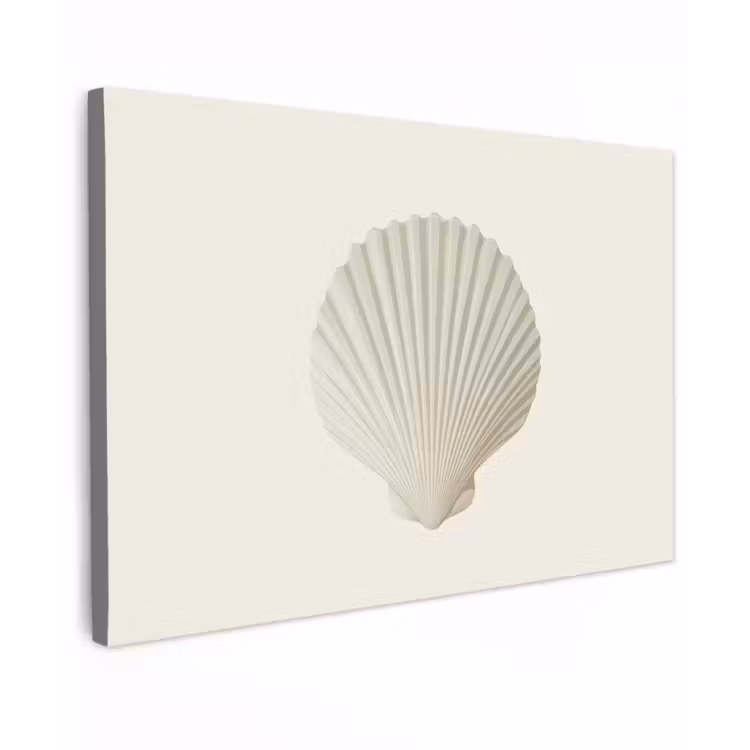 Canvas schilderij - Schelp - Minimalistisch - Wit — 1