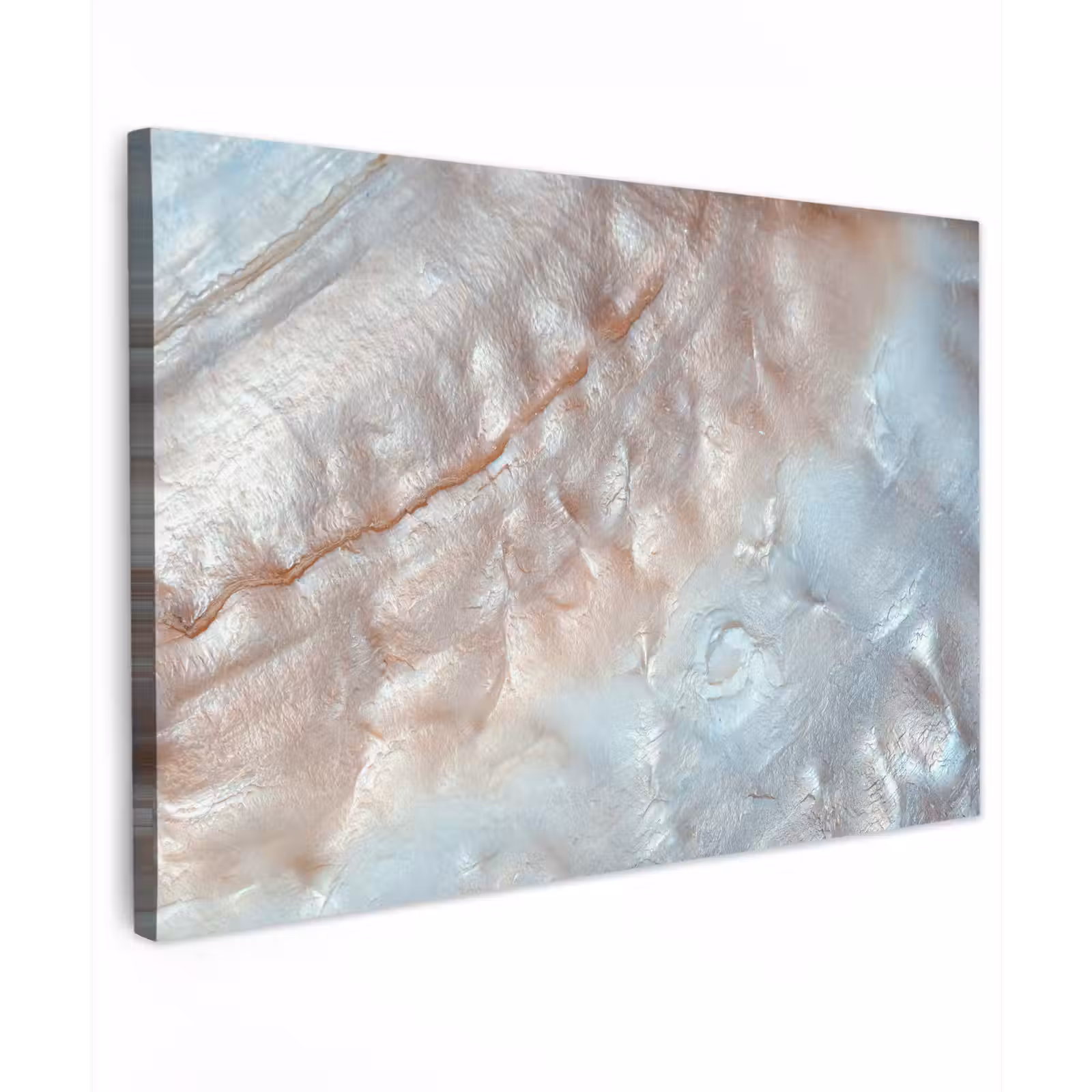 Canvas schilderij - Schelpen - Abstract - Natuur — 1