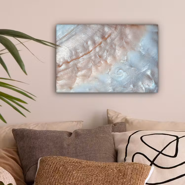 Canvas schilderij - Schelpen - Abstract - Natuur — 2