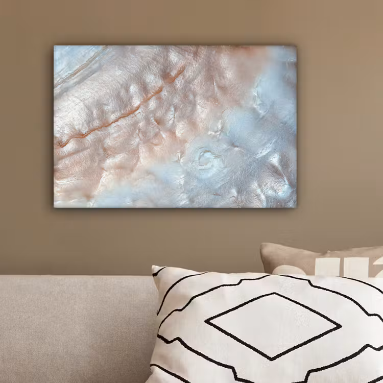 Canvas schilderij - Schelpen - Abstract - Natuur — 3