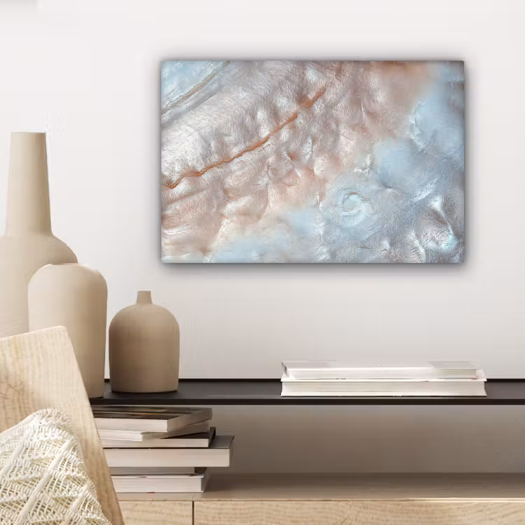 Canvas schilderij - Schelpen - Abstract - Natuur — 5