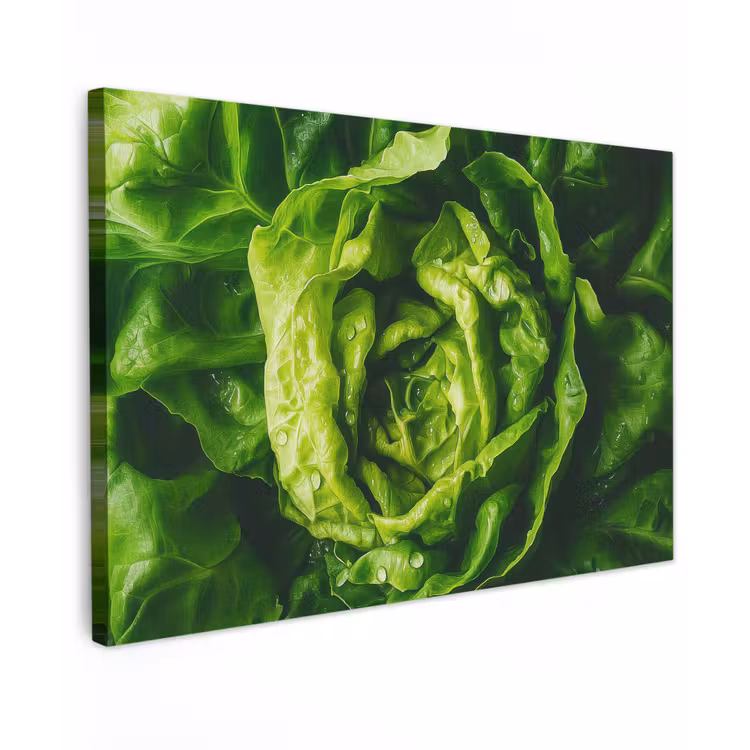Canvas schilderij - Groente - Sla - Groen — 1