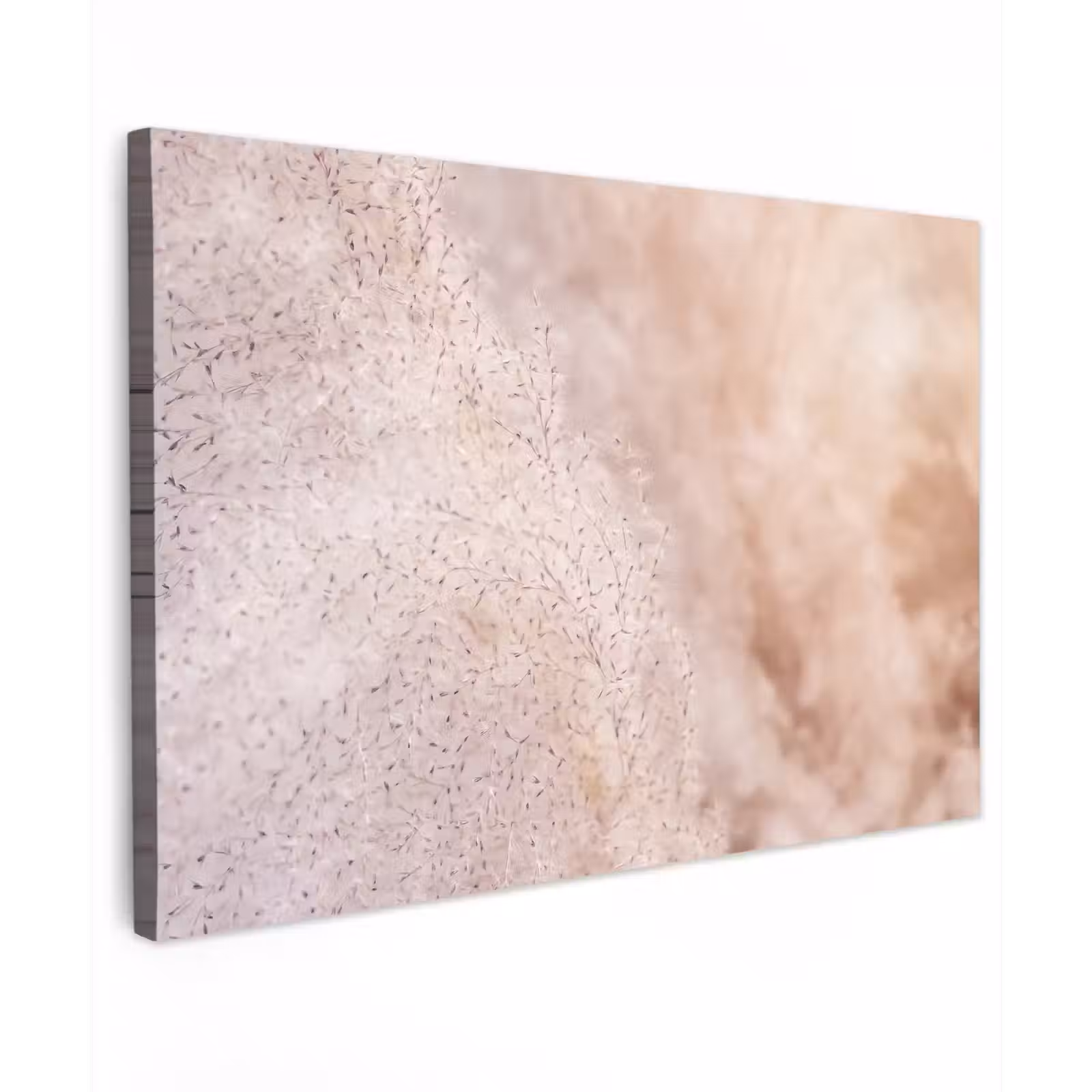 Canvas schilderij - Pampasgras - Structuur - Planten - Natuur — 1