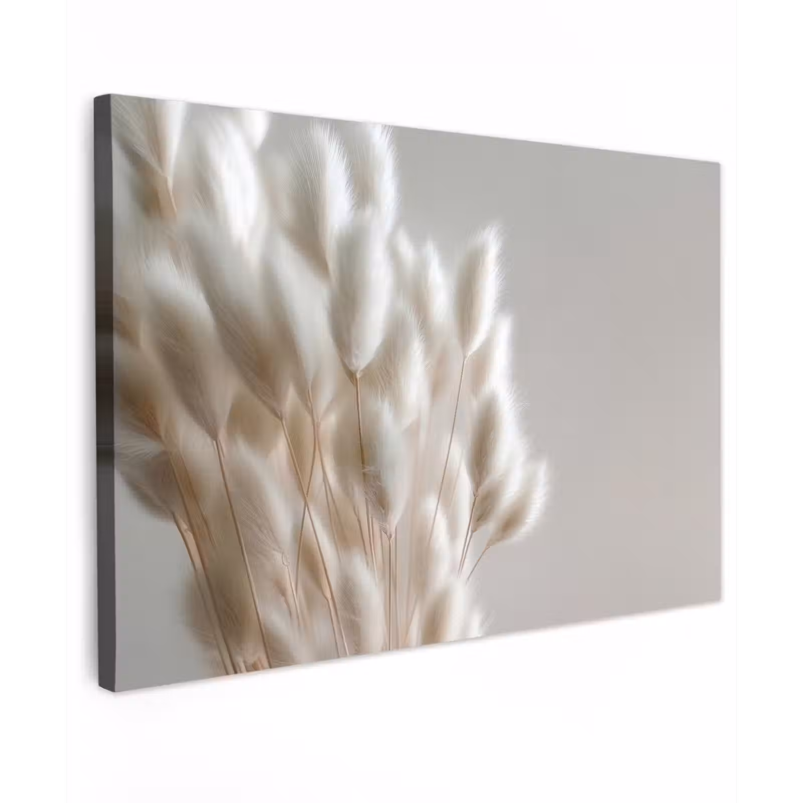 Canvas schilderij - Pluimen - Beige - Minimalistisch — 1