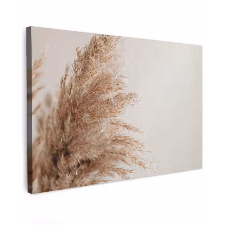 Canvas schilderij - Gras - Planten - Natuur - Pampasgras — 1