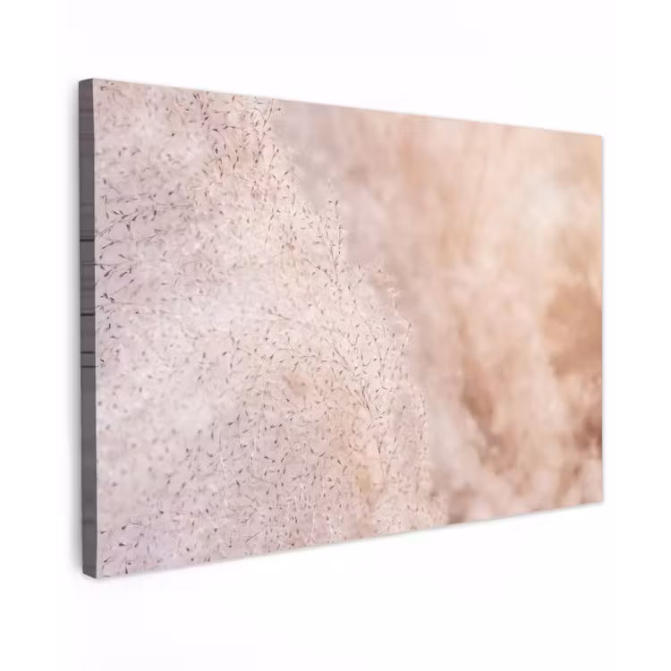 Canvas schilderij - Pampasgras - Structuur - Planten - Natuur — 1