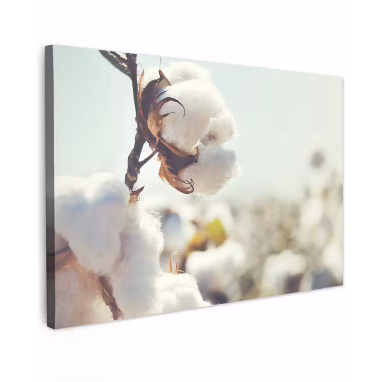 Canvas schilderij - Planten - Bloem - Tak - Natuur — 1