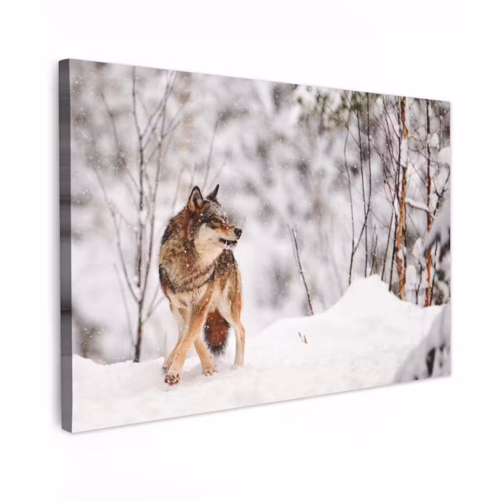 Canvas schilderij - Wolf - Winter - Sneeuw - Natuur - Dieren — 1