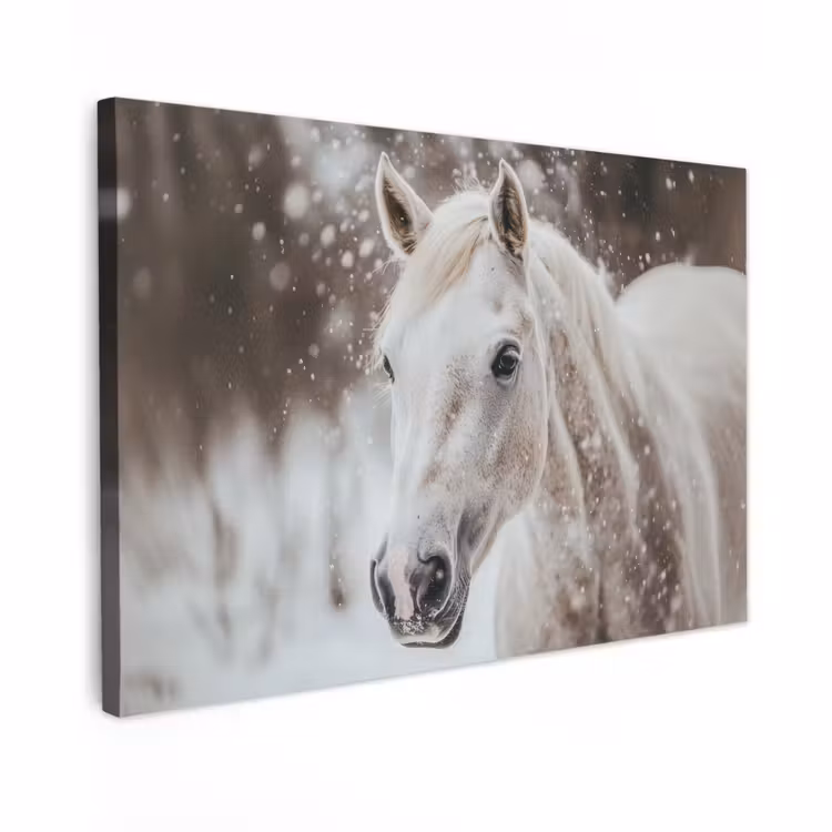 Canvas schilderij - Paard - Wit - Winter - Natuur - Sneeuw - Dieren — 1