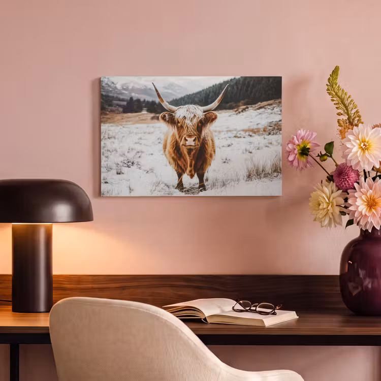 Canvas schilderij - Schotse Hooglander - Sneeuw - Winter - Dieren — 4