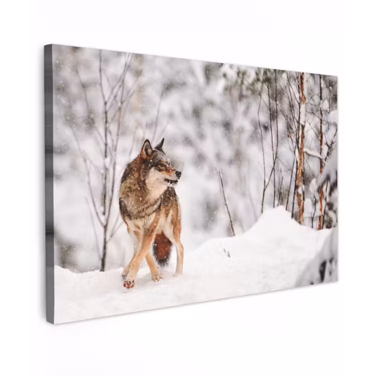 Canvas schilderij - Wolf - Winter - Sneeuw - Natuur - Dieren — 1