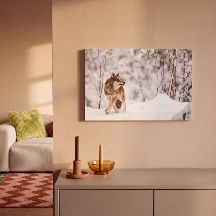 Canvas schilderij - Wolf - Winter - Sneeuw - Natuur - Dieren — 2