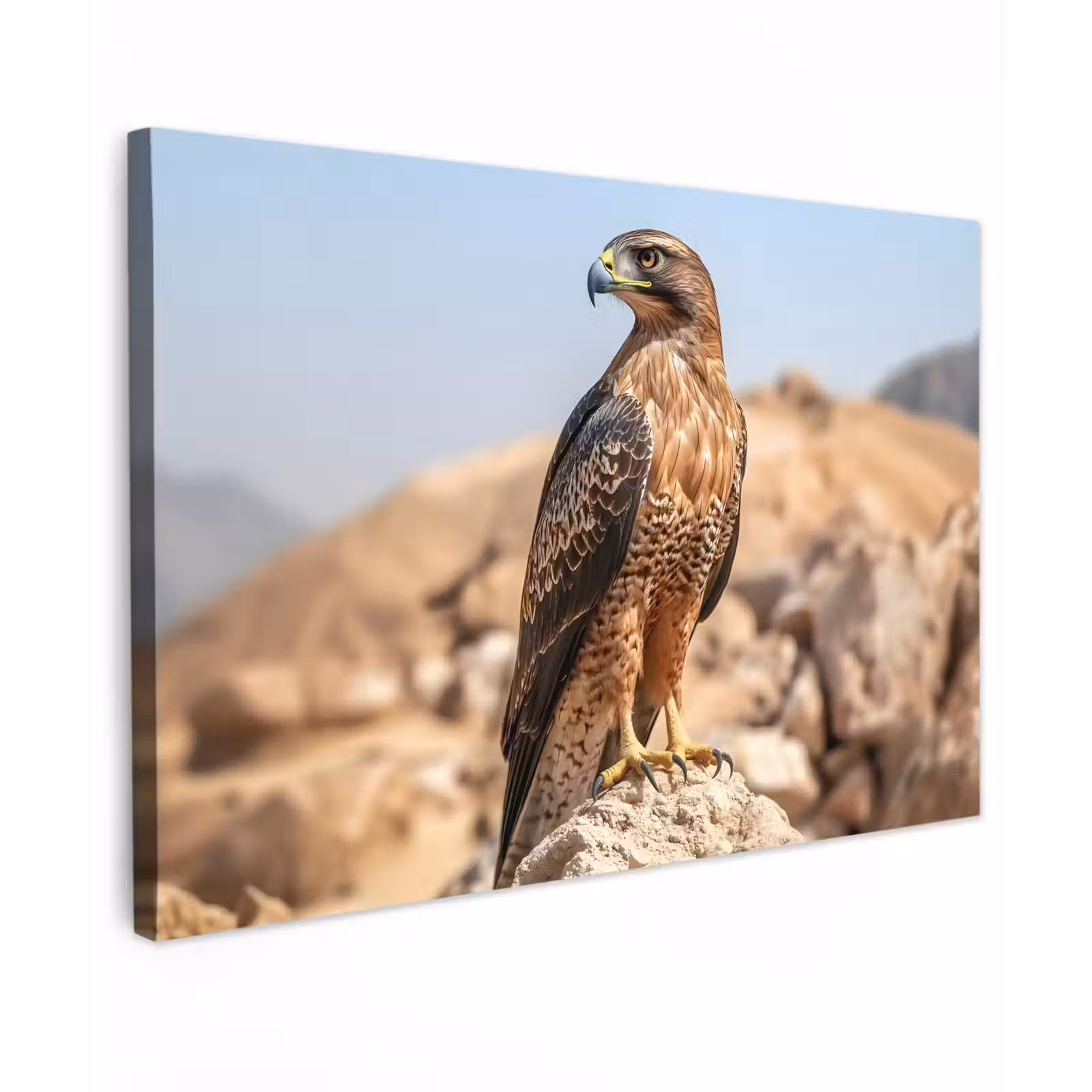 Canvas schilderij - Valk - Vogel - Rots - Macht — 1