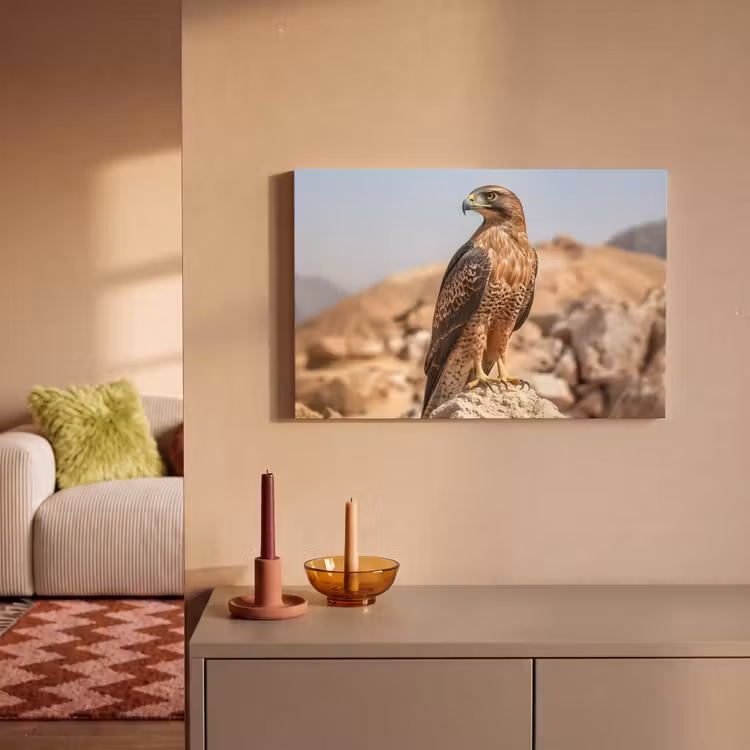 Canvas schilderij - Valk - Vogel - Rots - Macht — 2