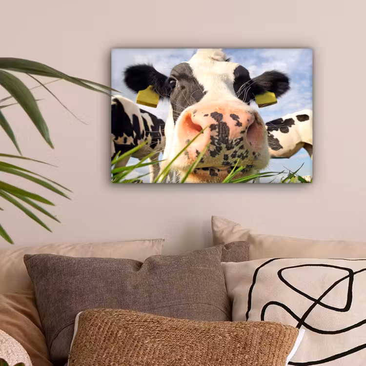 Canvas schilderij - Koe - Boerderij - Gras - Dieren — 2