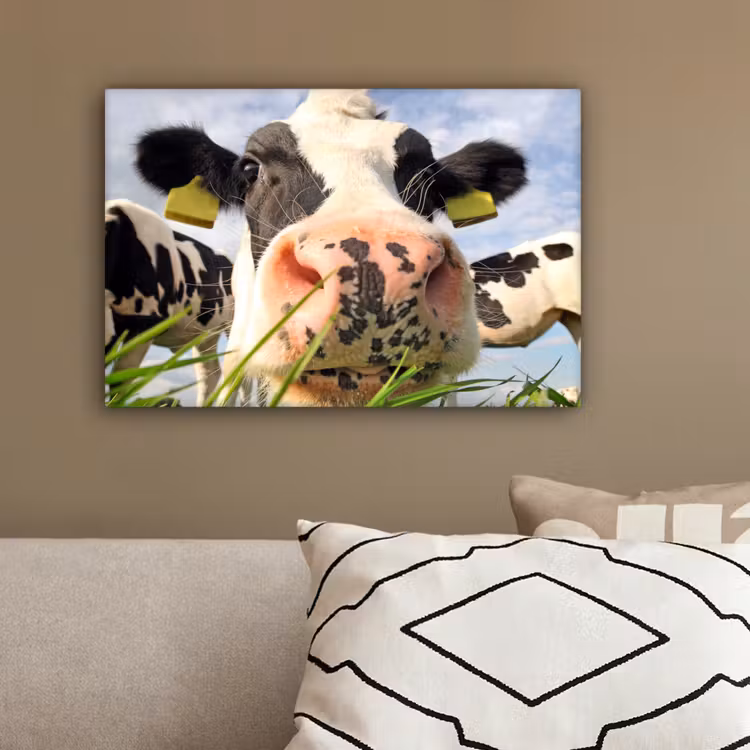 Canvas schilderij - Koe - Boerderij - Gras - Dieren — 3