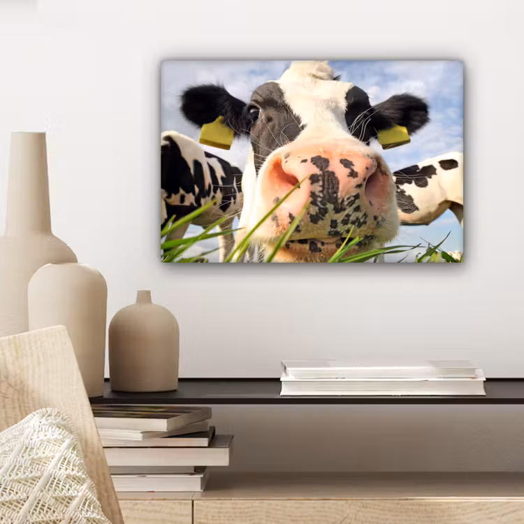 Canvas schilderij - Koe - Boerderij - Gras - Dieren — 5