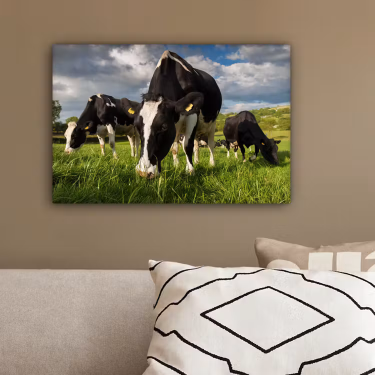 Canvas schilderij - Koeien - Dieren - Gras - Weiland - Boerderij — 3