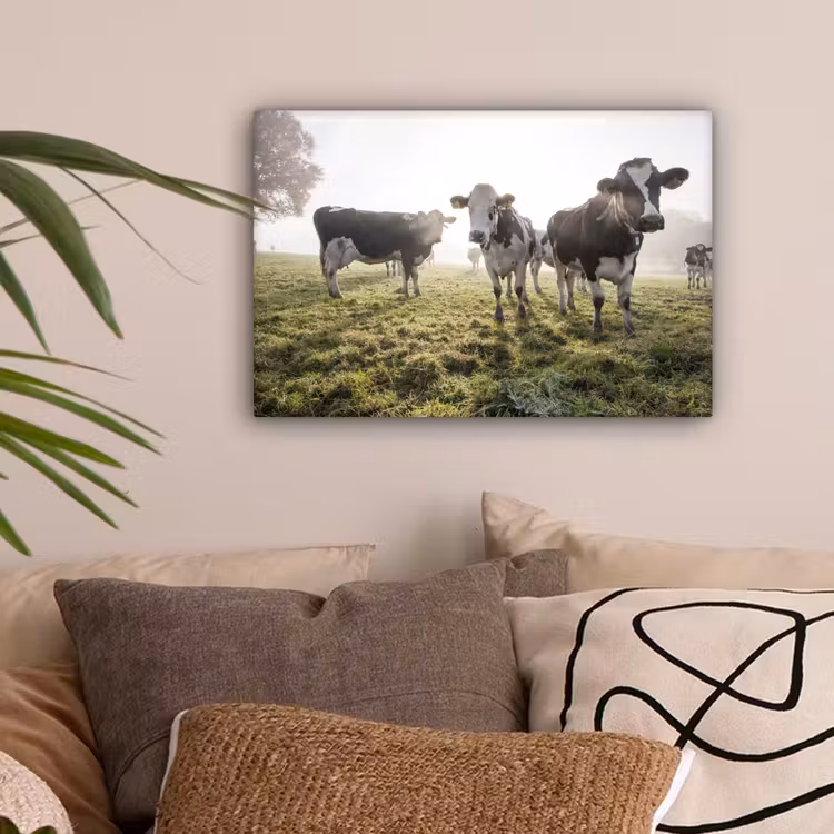 Canvas schilderij - Koeien - Licht - Gras - Dieren — 2