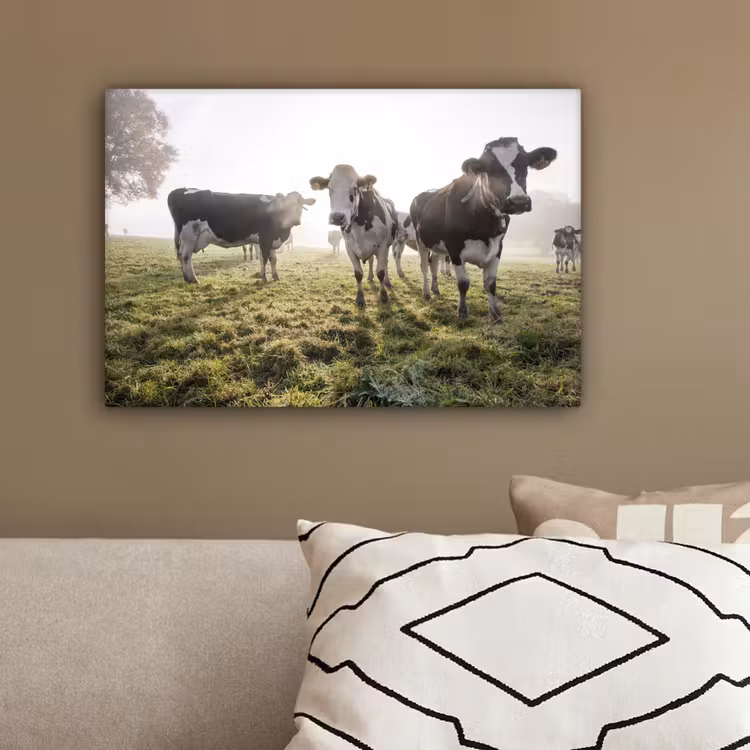 Canvas schilderij - Koeien - Licht - Gras - Dieren — 3