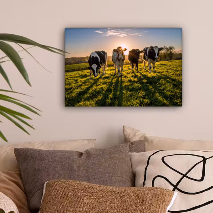 Canvas schilderij - Koeien - Zon - Gras - Dieren - Boerderij — 2