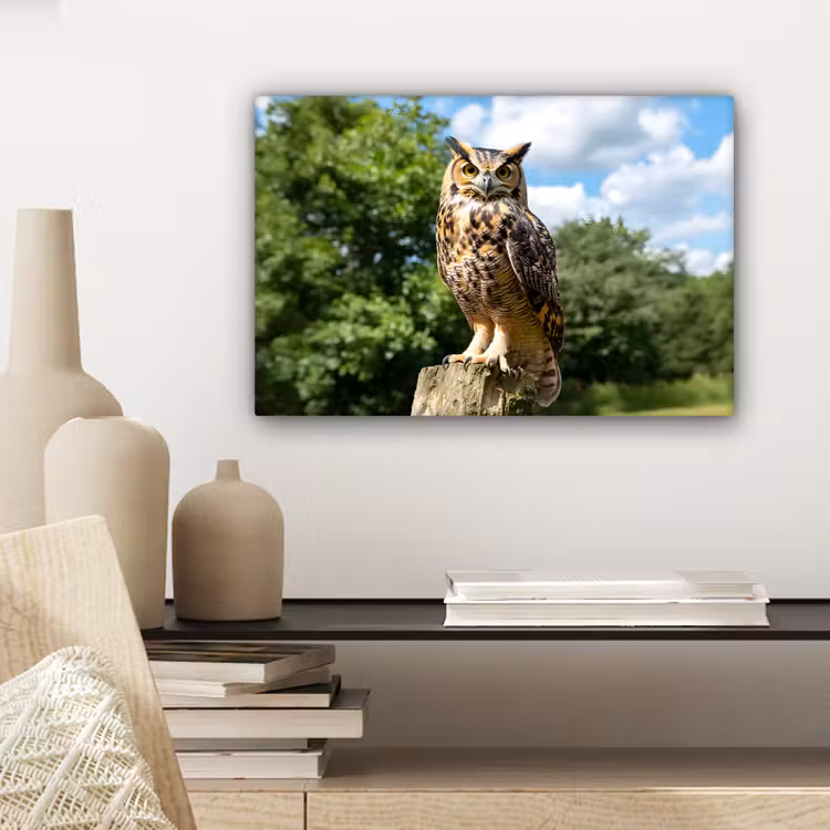 Canvas schilderij - Uil - Boomstronk - Bos - Lucht — 5