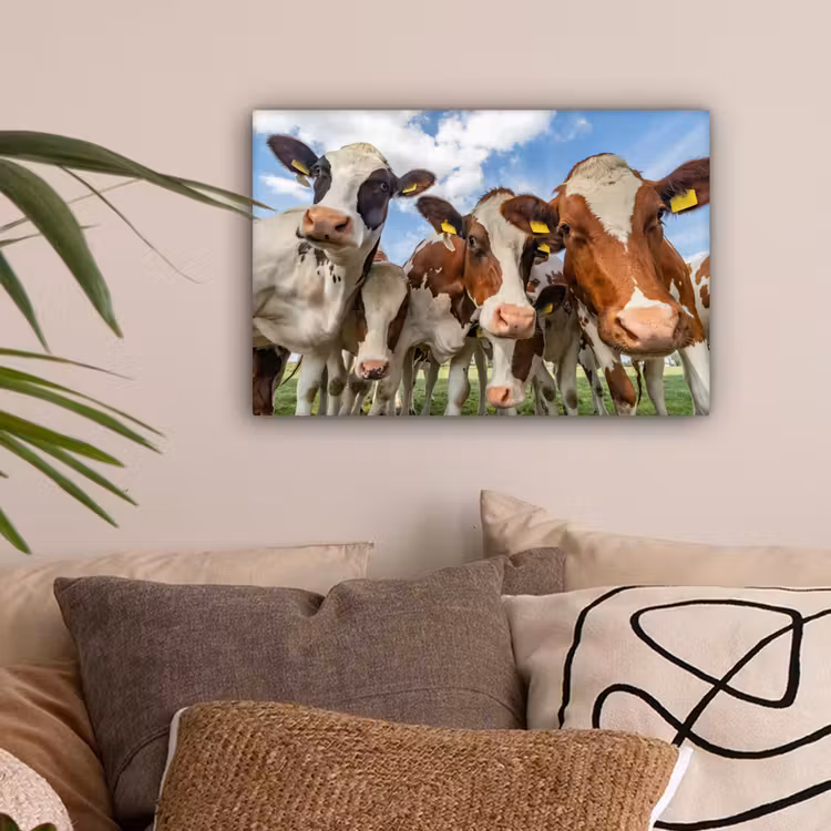 Canvas schilderij - Koeien - Dieren - Weiland - Natuur — 2