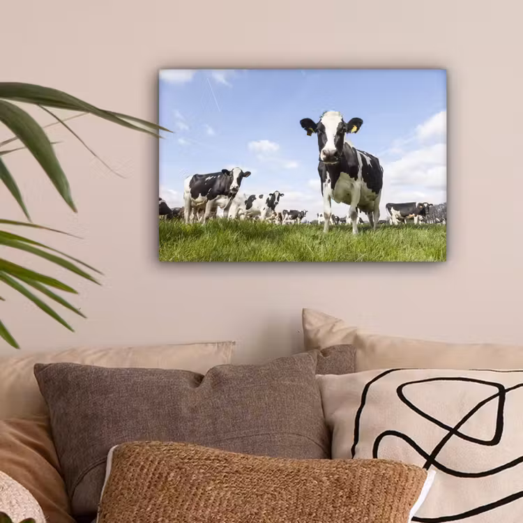 Canvas schilderij - Koeien - Gras - Dieren - Zon - Boerderij — 2