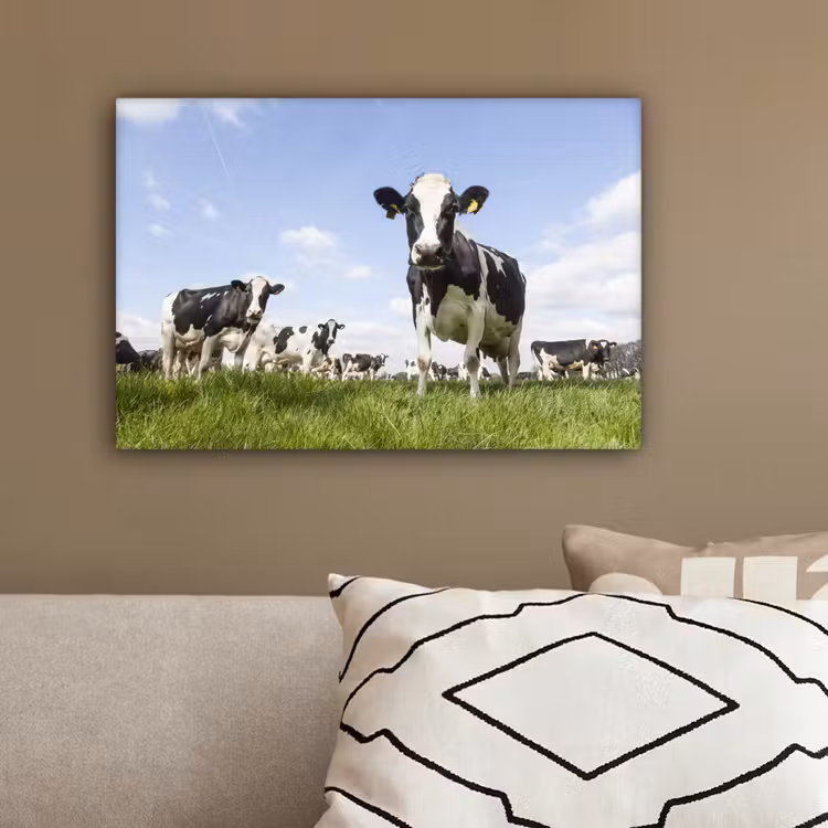 Canvas schilderij - Koeien - Gras - Dieren - Zon - Boerderij — 3