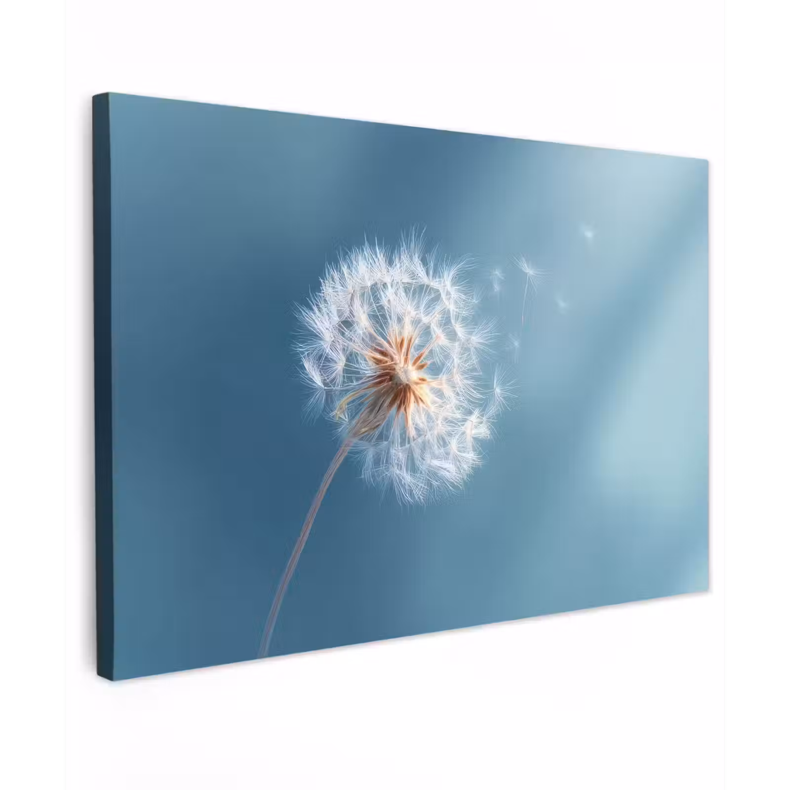 Canvas schilderij - Paardenbloem - Wind - Blauw — 1