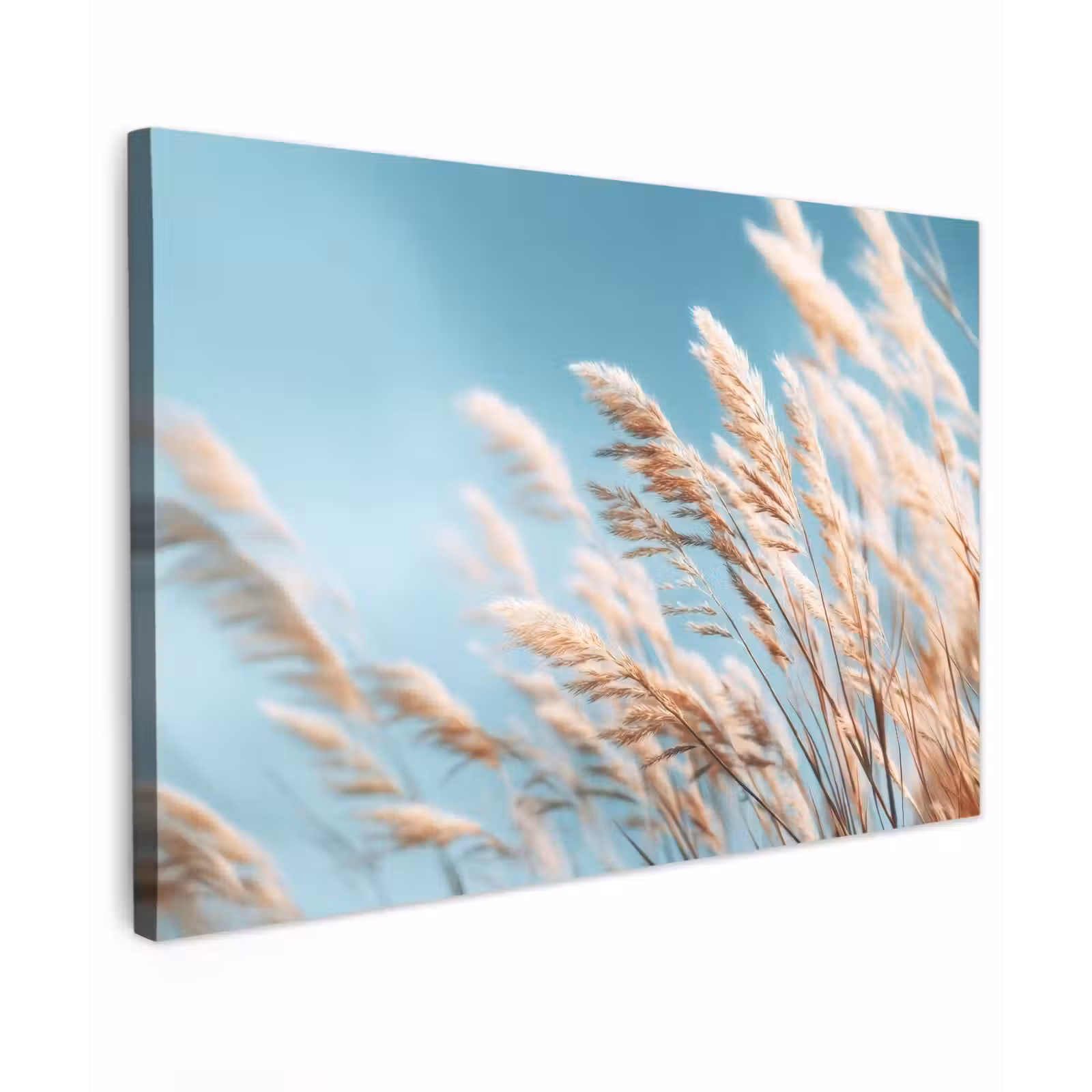 Canvas schilderij - Siergras - Wind - Lichtbruin — 1