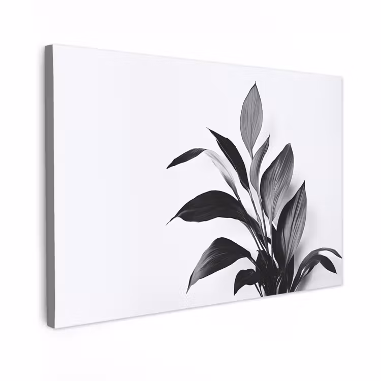 Canvas schilderij - Plant - Bladeren - Minimalistisch - Zwart — 1