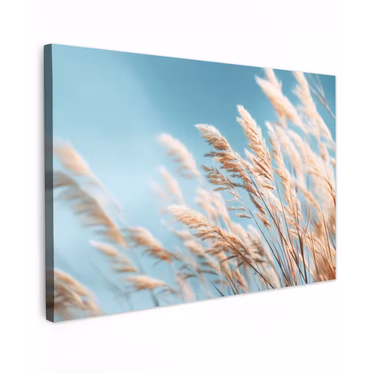 Canvas schilderij - Siergras - Wind - Lichtbruin — 1