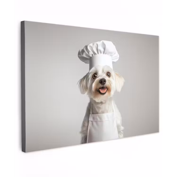 Canvas schilderij - Hond - Wit - Kok — 1