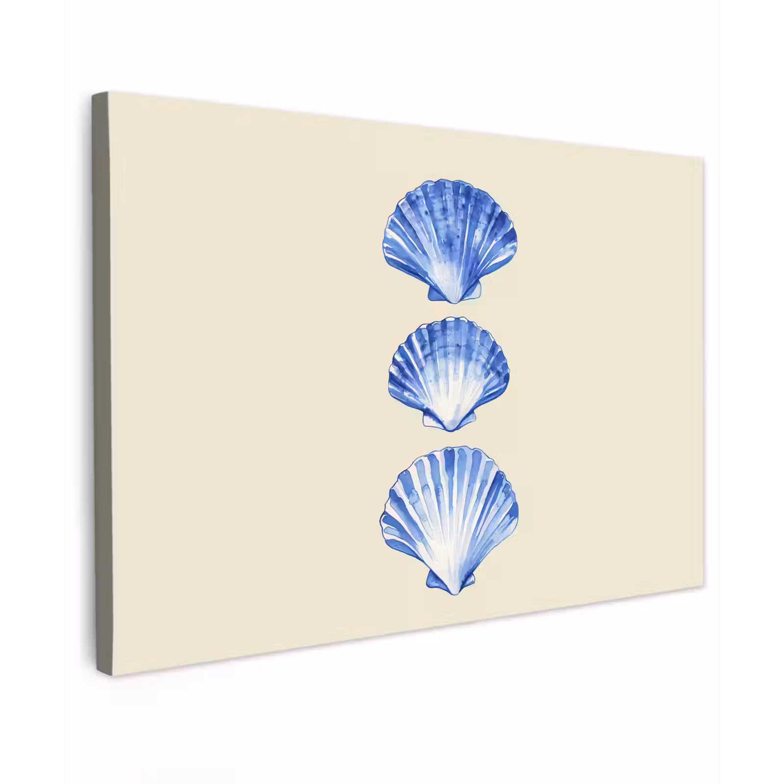 Canvas schilderij - Schelpen - Blauw - Beige — 1
