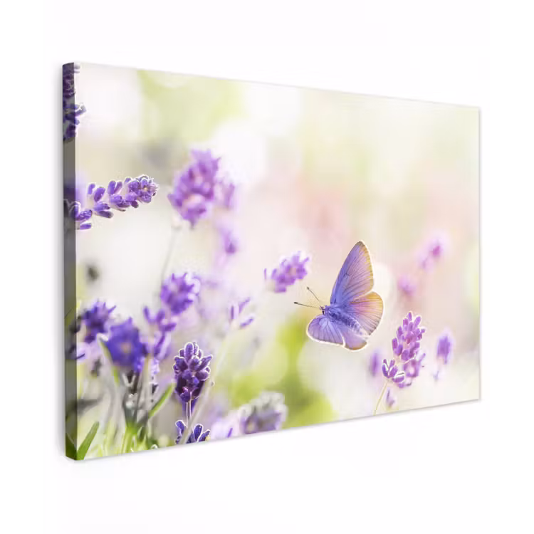 Canvas schilderij - Lavendel - Vlinder - Bloemen — 1