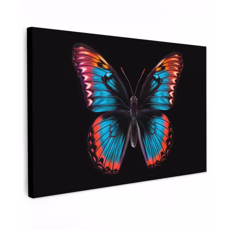Canvas schilderij - Vlinder - Kleuren - Dier - Zwart — 1