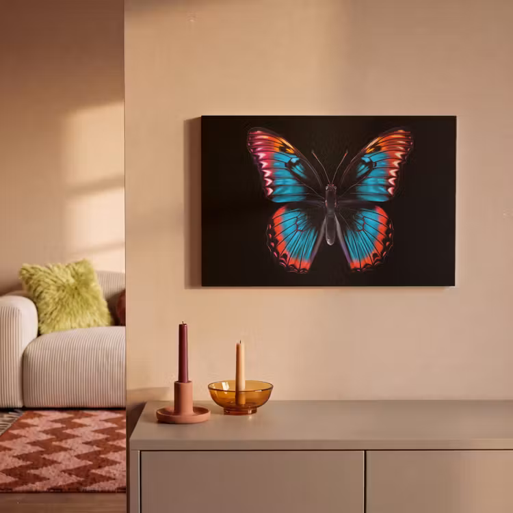 Canvas schilderij - Vlinder - Kleuren - Dier - Zwart — 2