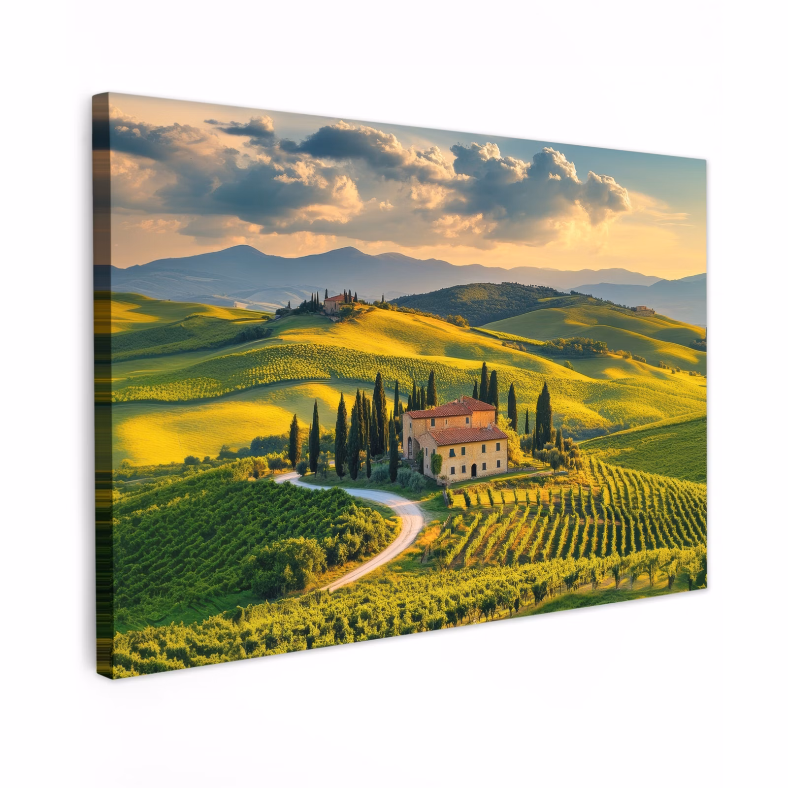 Canvas schilderij - Toscane - Landschap - Wijngaarden — 1
