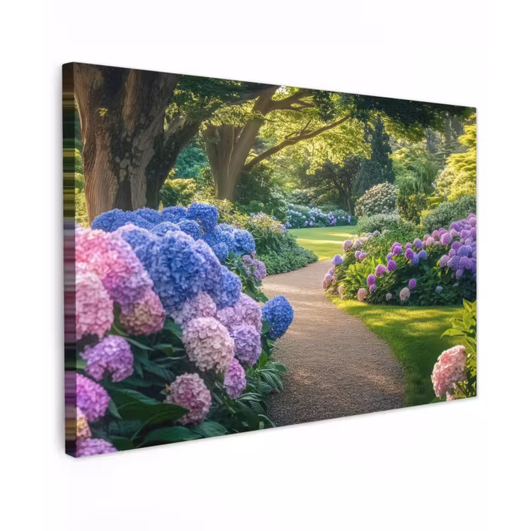 Canvas schilderij - Hortensia- Park - Pad — 1