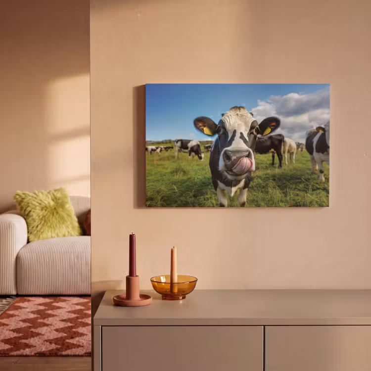 Canvas schilderij - Koe - Tong - Weide — 2
