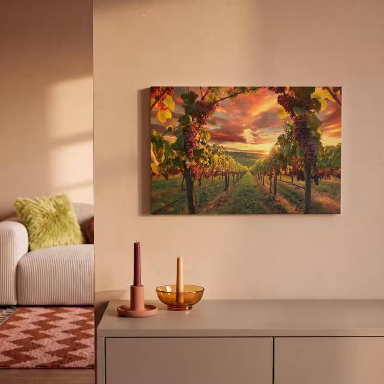Canvas schilderij - Wijngaard - Druiven - Zonsondergang — 2