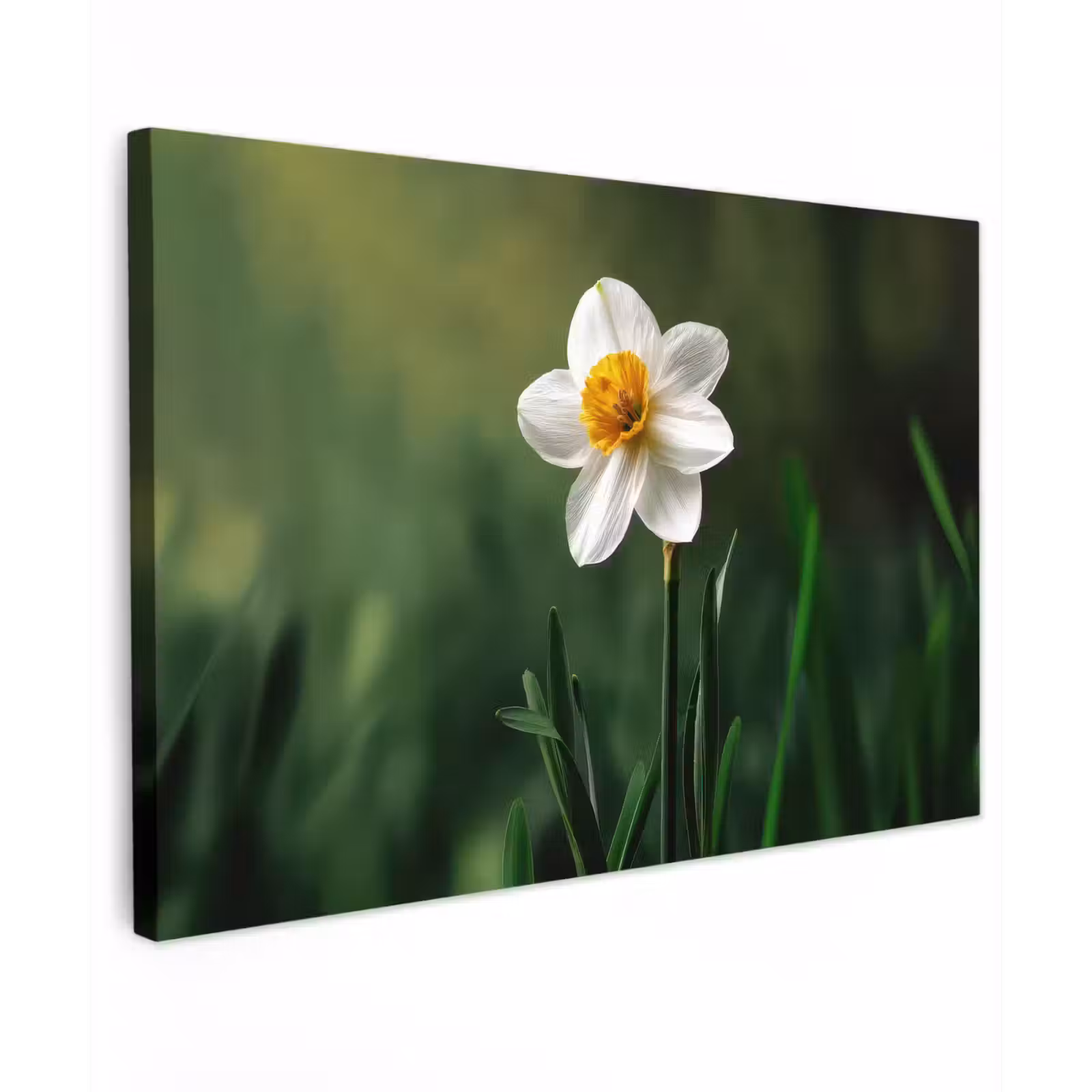 Canvas schilderij - Narcis - Bloem - Wit - Grassprieten — 1