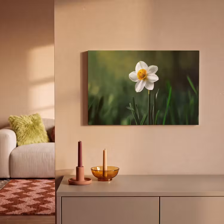 Canvas schilderij - Narcis - Bloem - Wit - Grassprieten — 2