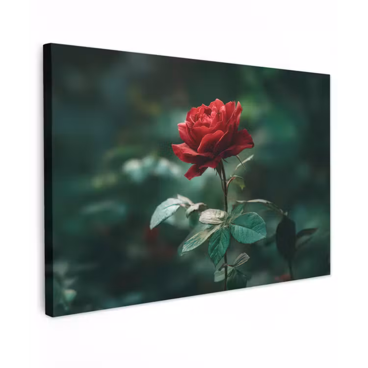 Canvas schilderij - Roos - Bladeren - Dieprood — 1