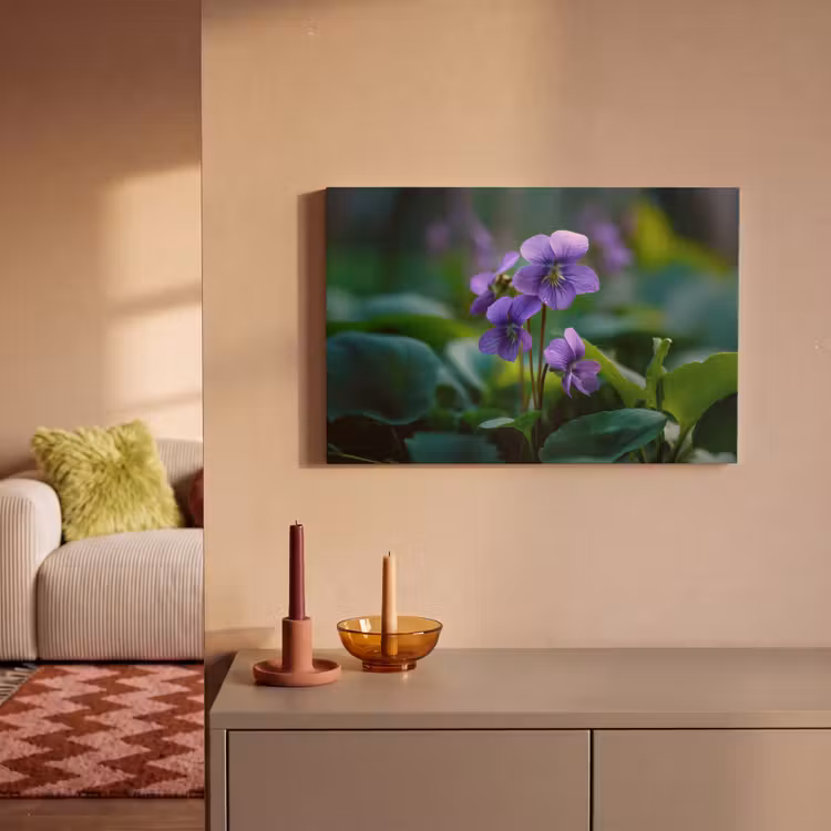 Canvas schilderij - Viooltjes - Paars - Bloem - Bladeren — 2
