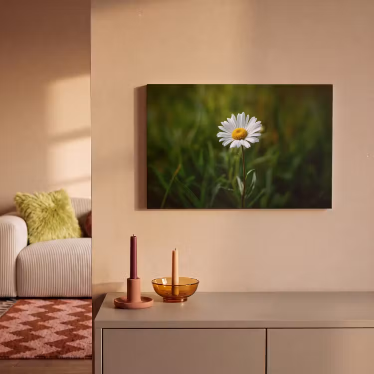 Canvas schilderij - Wit - Madeliefje - Bloem - Gras — 2